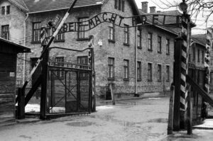 Lees meer over het artikel G van GAZA – H van HOLOCAUST
